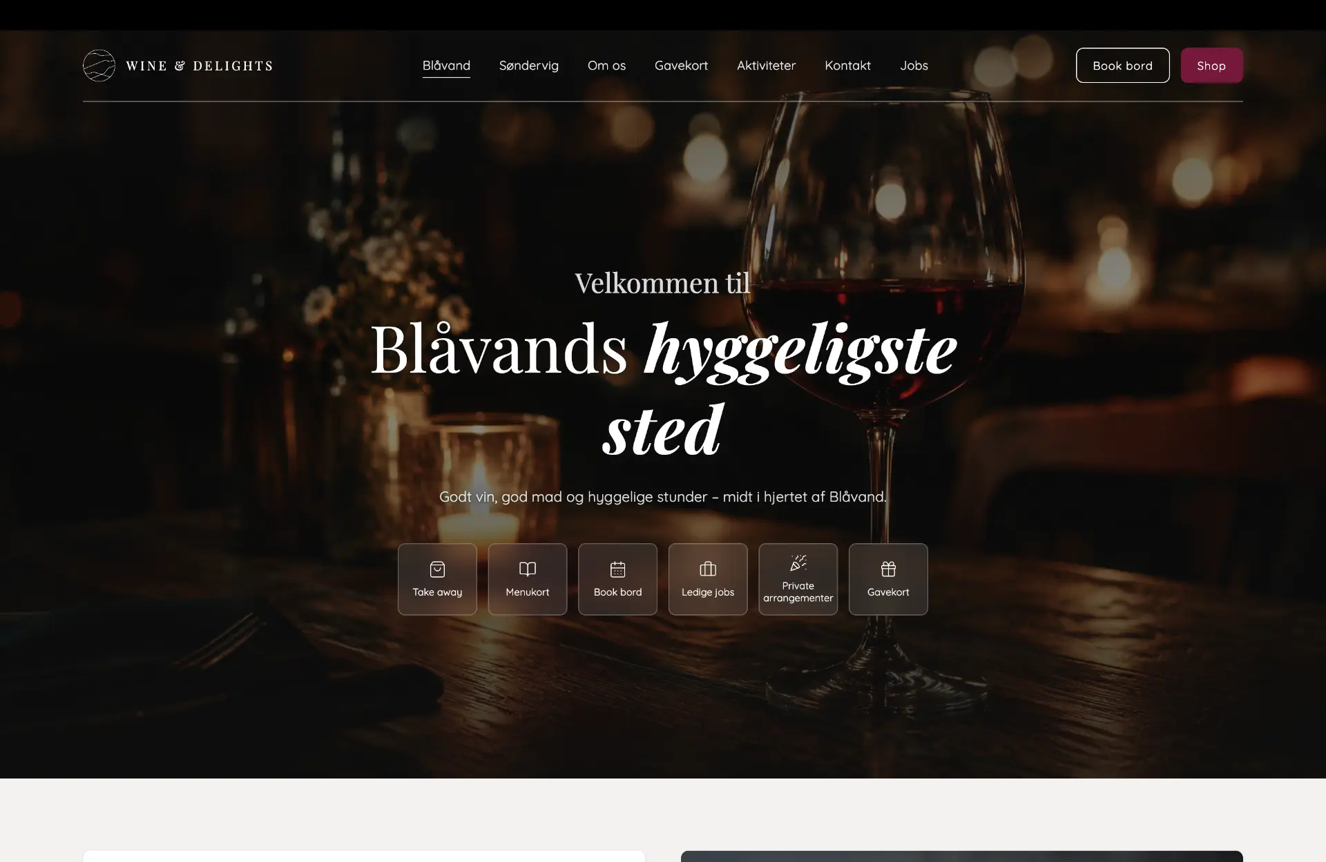 [Skærmbillede på computer]